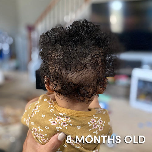 I Want It All Whole Collection Kit