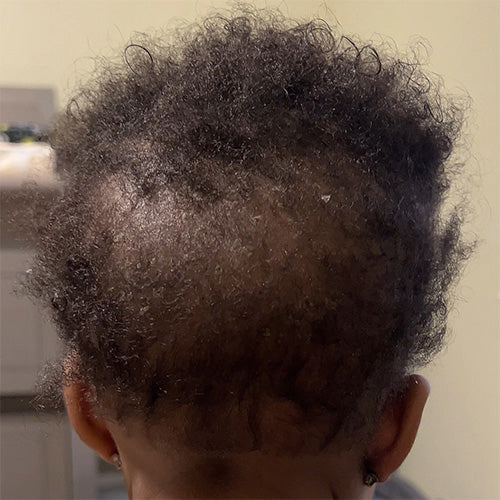 I Want It All Whole Collection Kit