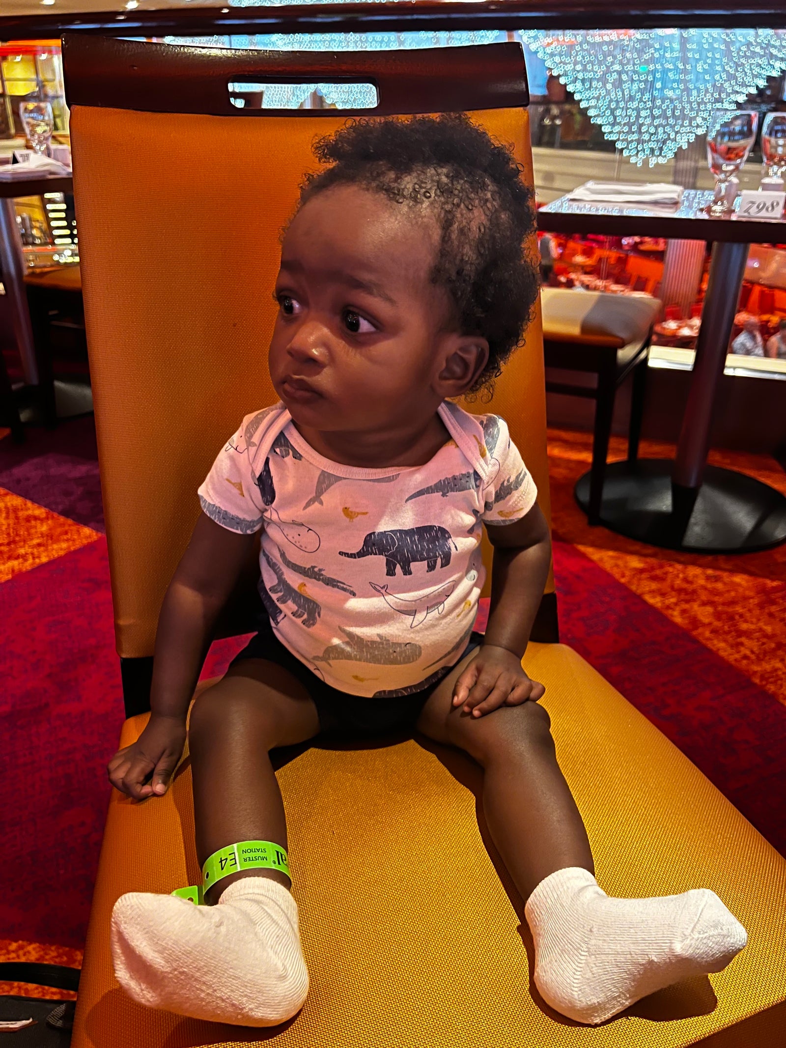 I Want It All Whole Collection Kit