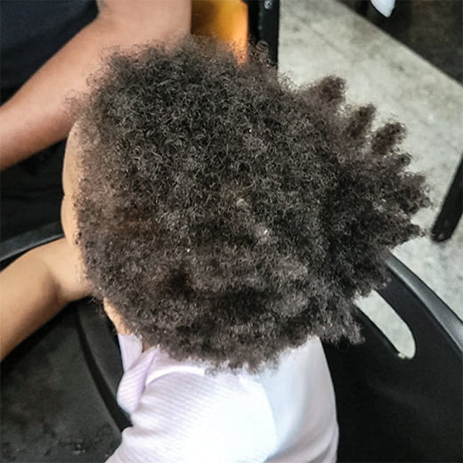 I Want It All Whole Collection Kit