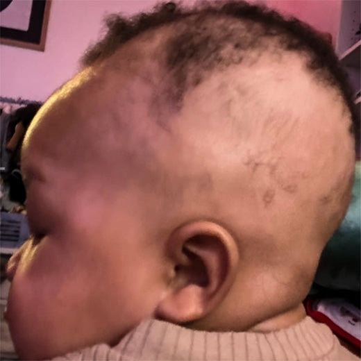 I Want It All Whole Collection Kit